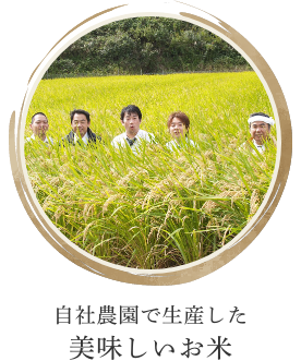 自社農園で生産した美味しいお米